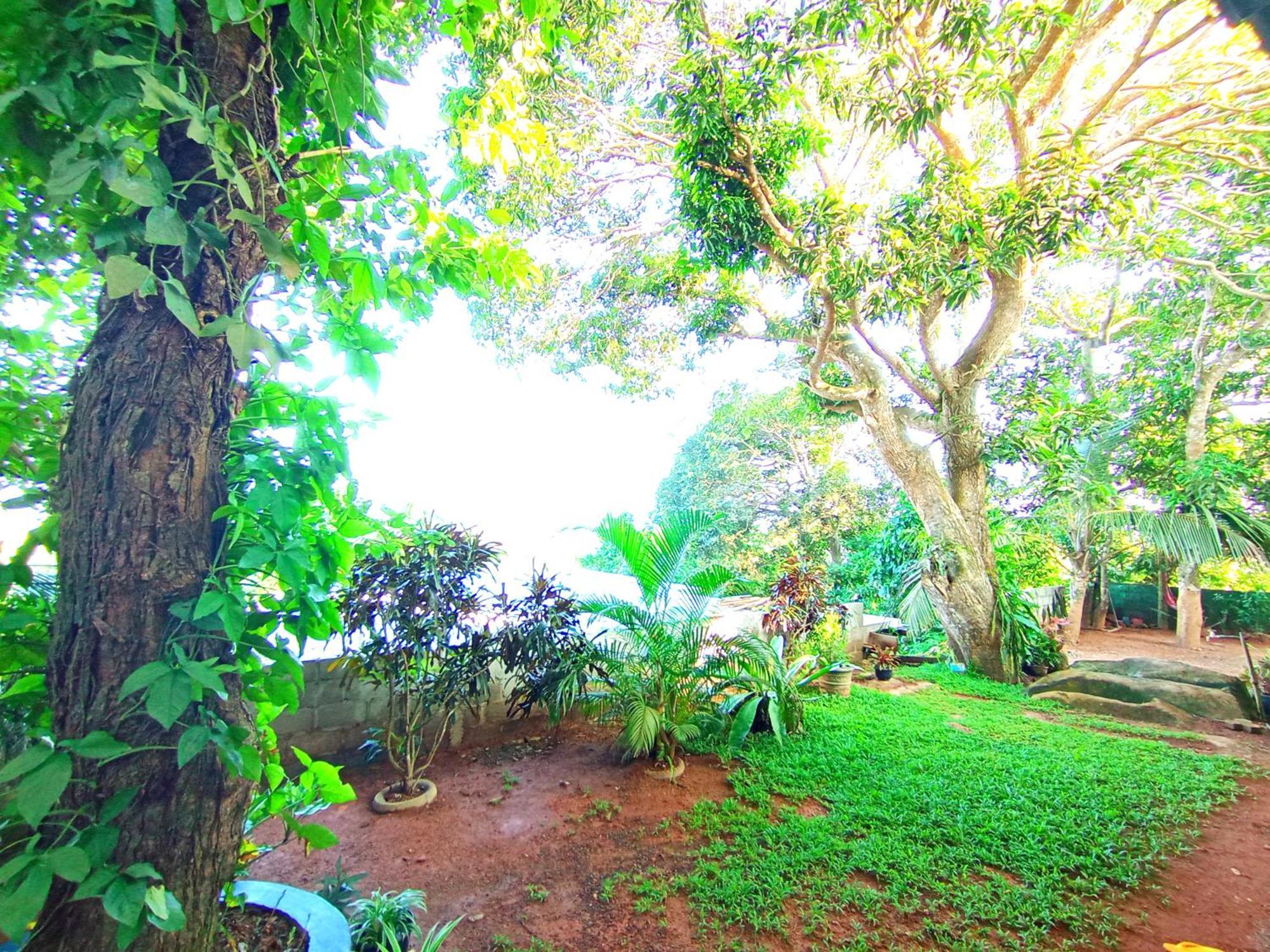 Sasaa Guest House มิริสซา ภายนอก รูปภาพ