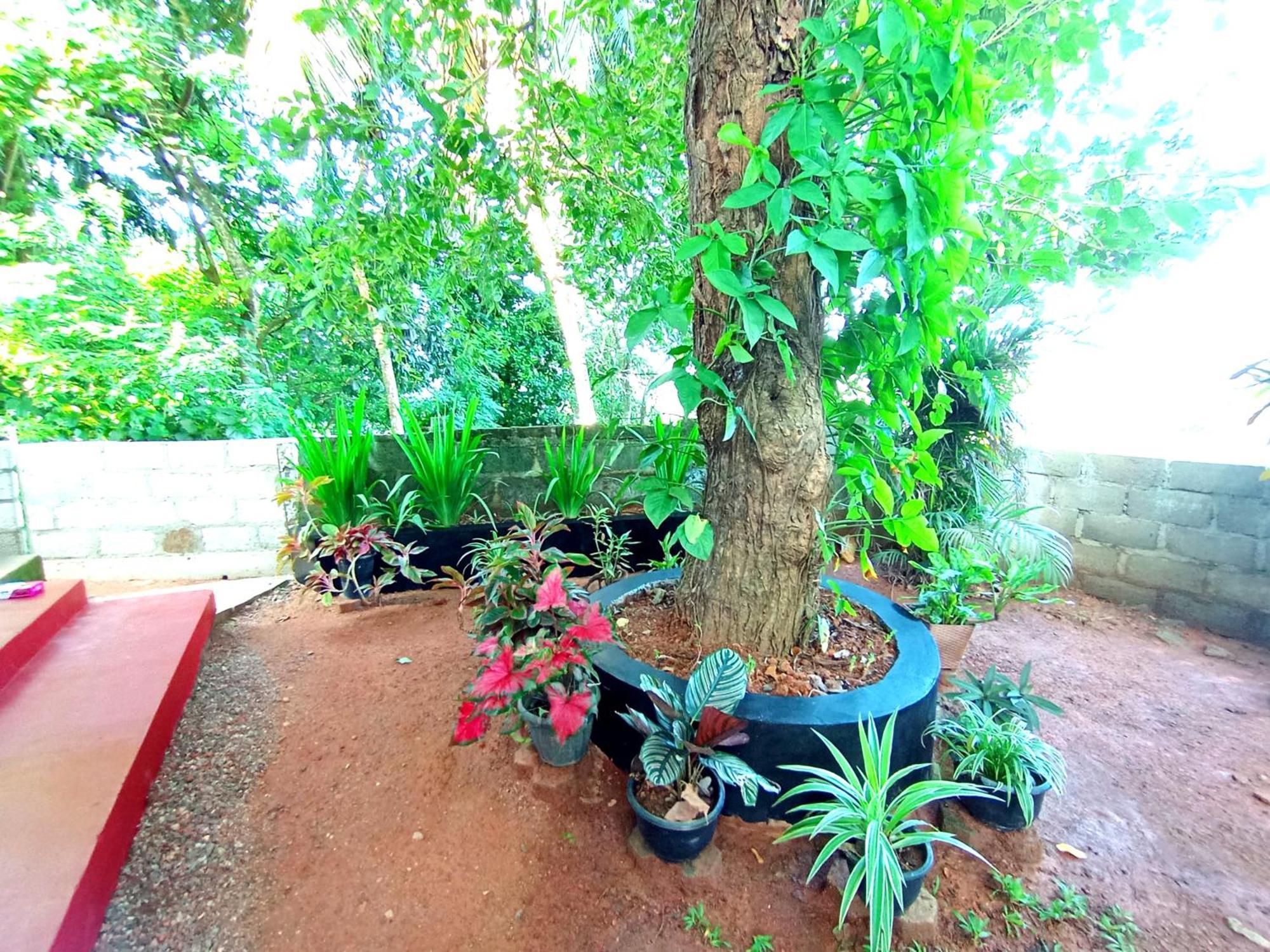 Sasaa Guest House มิริสซา ภายนอก รูปภาพ