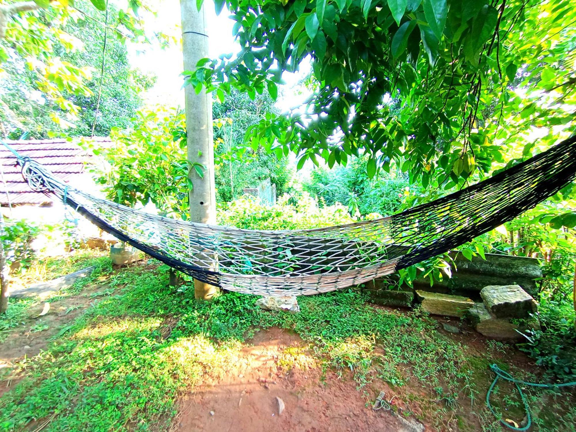Sasaa Guest House มิริสซา ภายนอก รูปภาพ